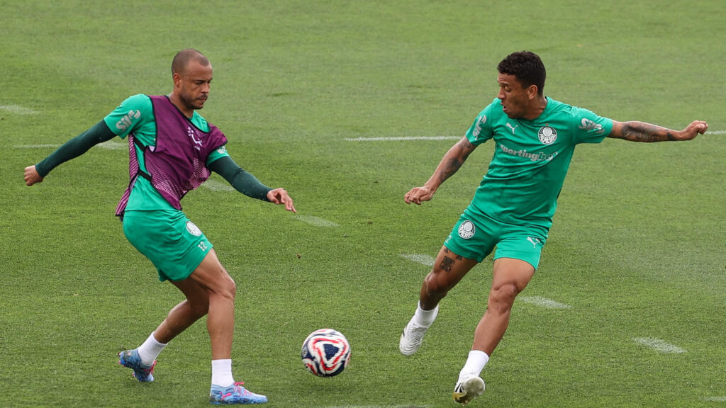 Marcos Rocha. Foto: Cesar Greco/Palmeiras